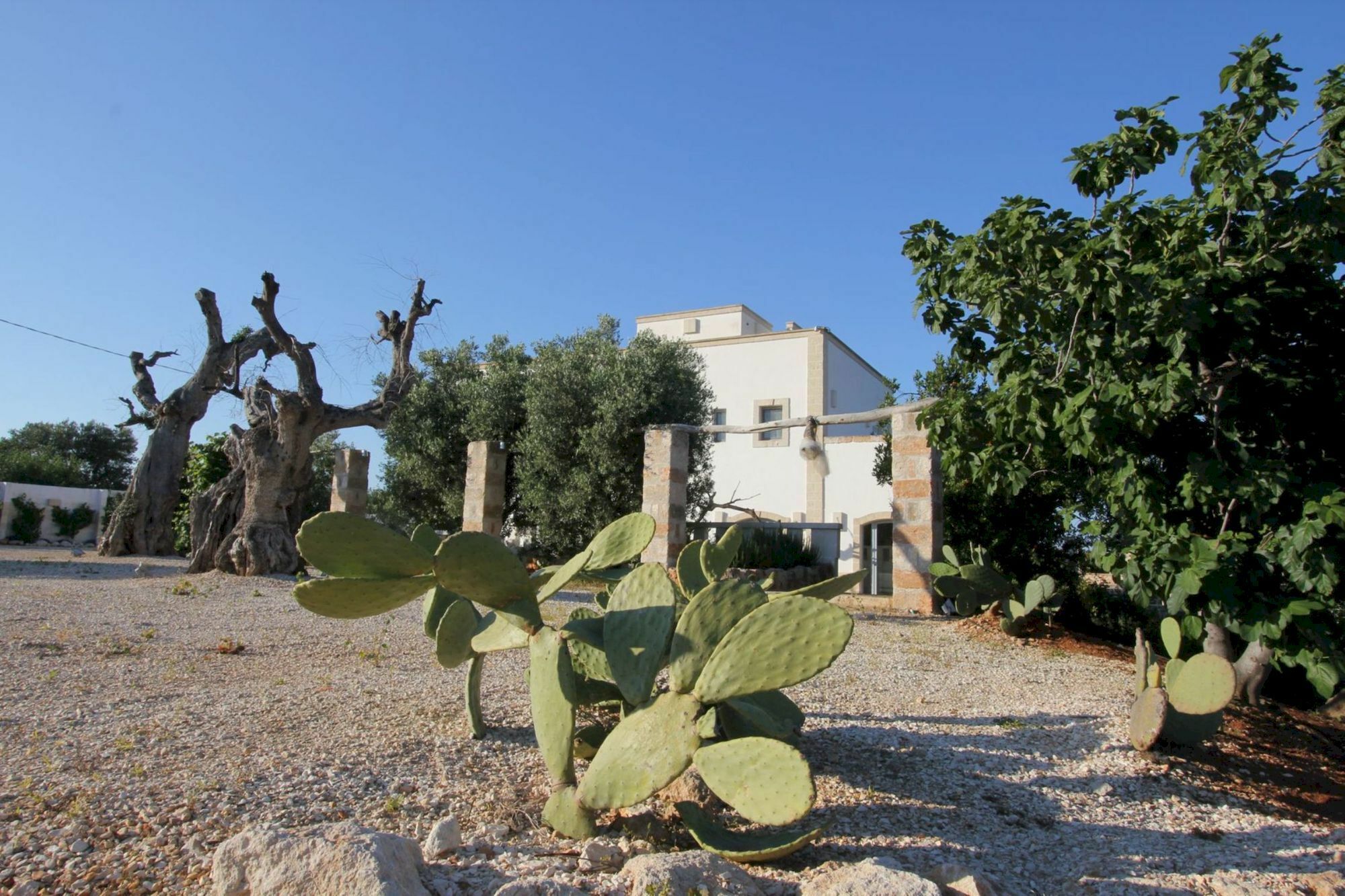 Masseria Lama Di Coccaro Savelletri Extérieur photo