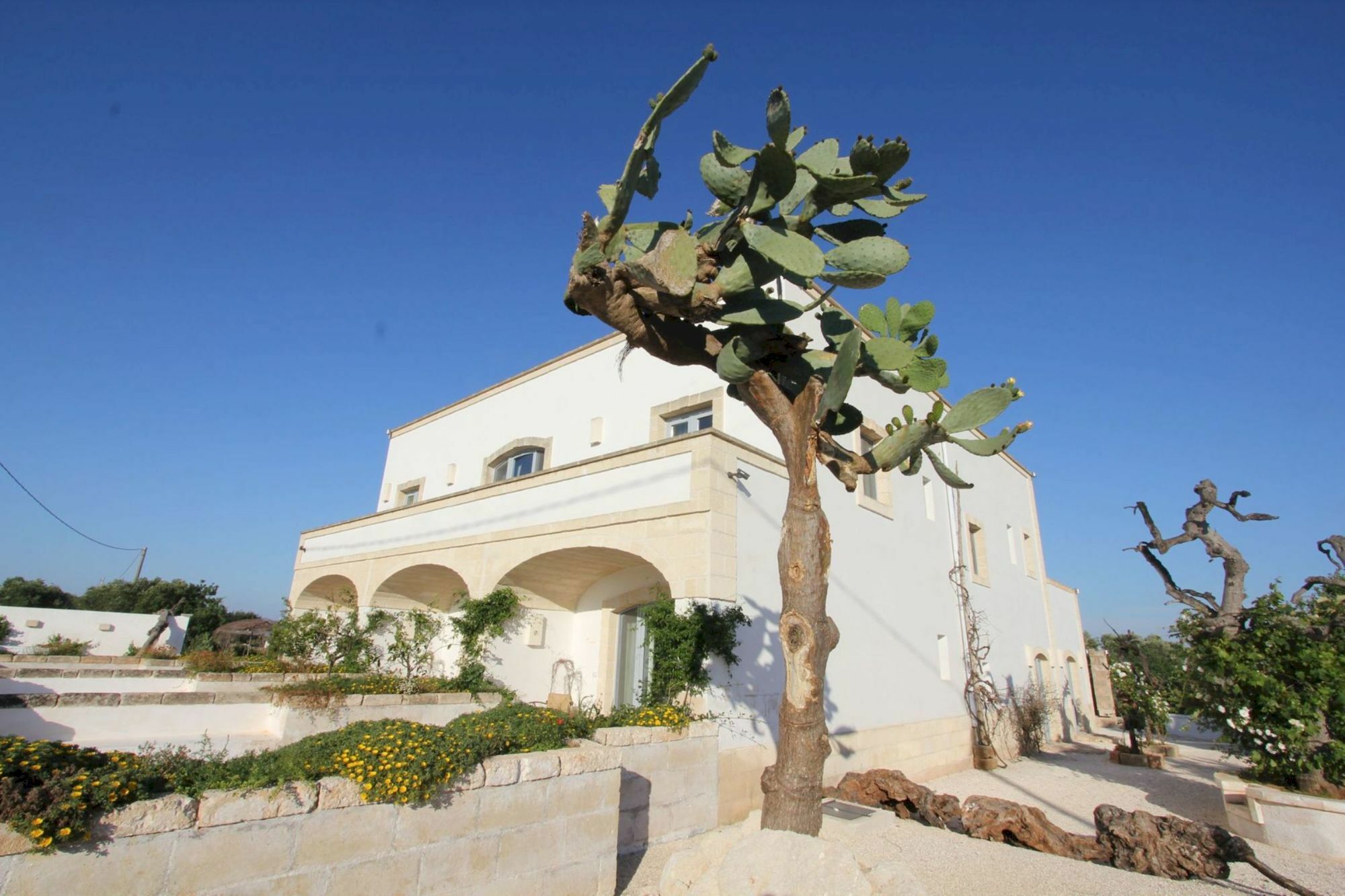 Masseria Lama Di Coccaro Savelletri Extérieur photo
